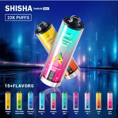 Shisha Max 22K Puffs Disposable Vape